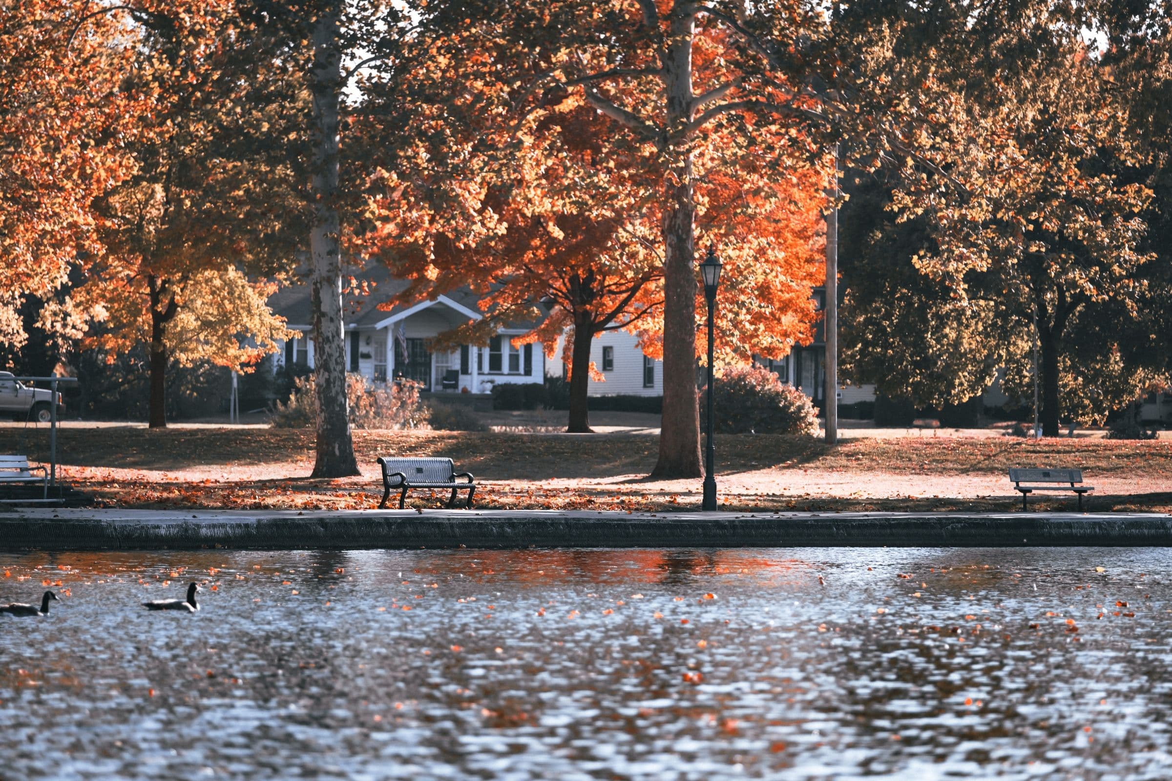 Park bench and autumn trees beside a lake near homes in Hope Mills NC