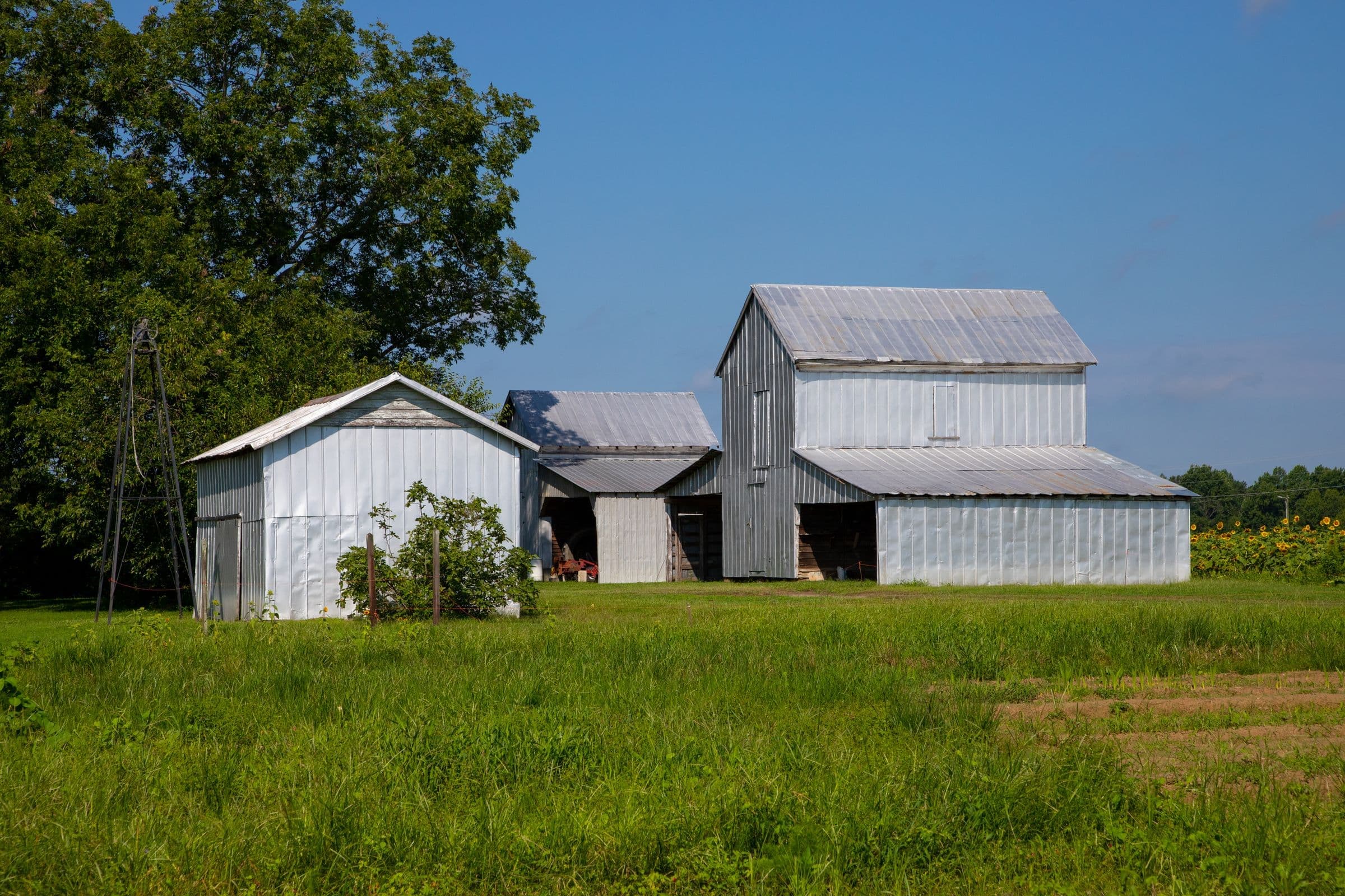 Silver metal farm barns and a green pasture near Raeford NC